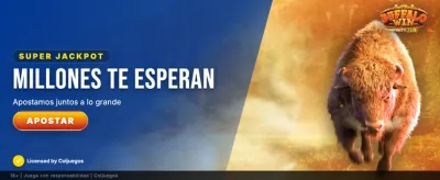 Vive la emoción del casino